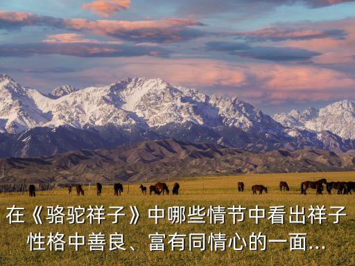 在《駱駝祥子》中哪些情節(jié)中看出祥子性格中善良、富有同情心的一面...