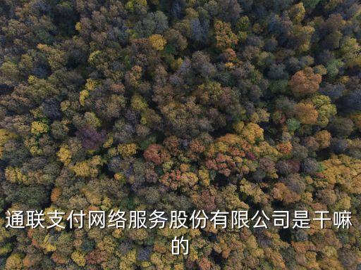 通聯(lián)支付網(wǎng)絡服務股份有限公司是干嘛的