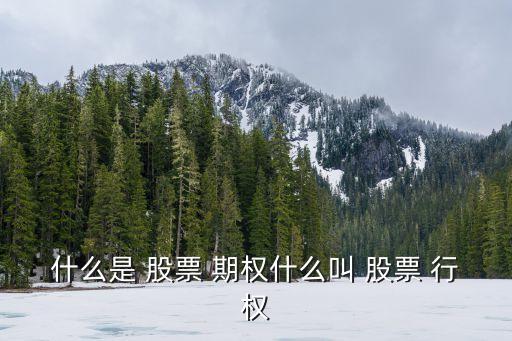 股票期權的行權價格是什么意思,公司給了10萬期權有用嗎
