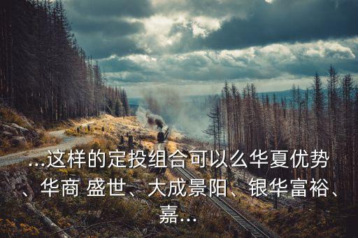 ...這樣的定投組合可以么華夏優(yōu)勢、華商 盛世、大成景陽、銀華富裕、嘉...