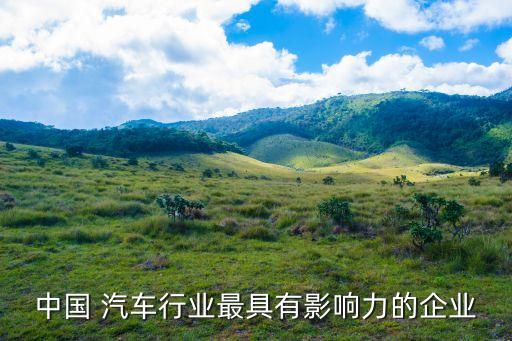 中國(guó) 汽車(chē)行業(yè)最具有影響力的企業(yè)
