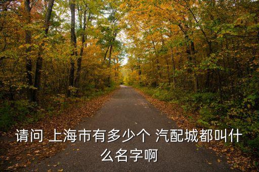 請(qǐng)問(wèn) 上海市有多少個(gè) 汽配城都叫什么名字啊