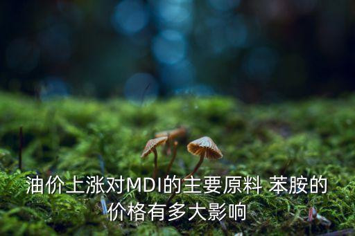 年產1萬噸苯胺需投資多少