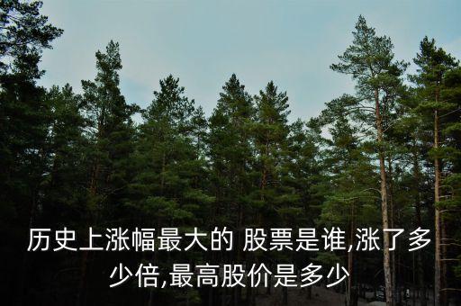 中國最大三只股票,中國下跌最大的股票