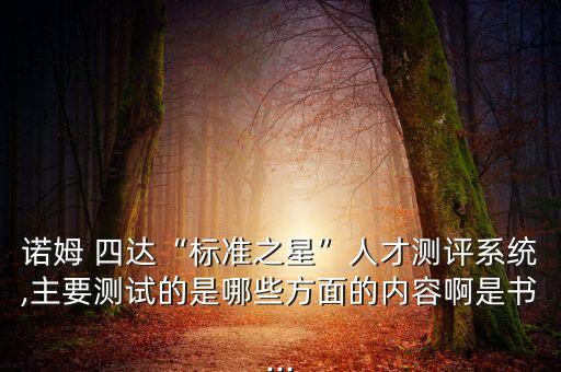 諾姆 四達“標(biāo)準(zhǔn)之星”人才測評系統(tǒng),主要測試的是哪些方面的內(nèi)容啊是書...