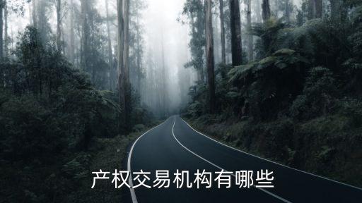 北京產權交易所收費標準,上海聯合產權交易所收費標準
