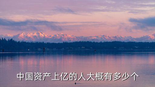 中國資產上億的人大概有多少個
