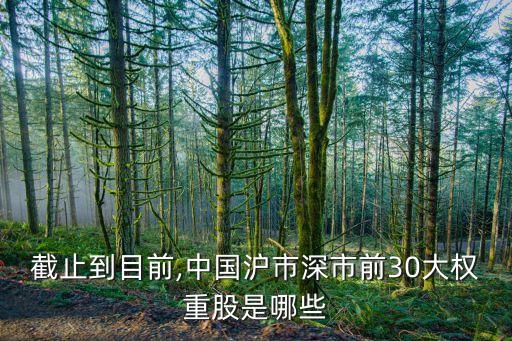 截止到目前,中國滬市深市前30大權重股是哪些