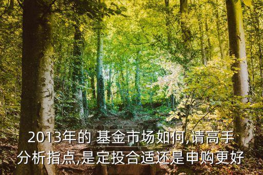 2013年的 基金市場如何,請高手分析指點,是定投合適還是申購更好