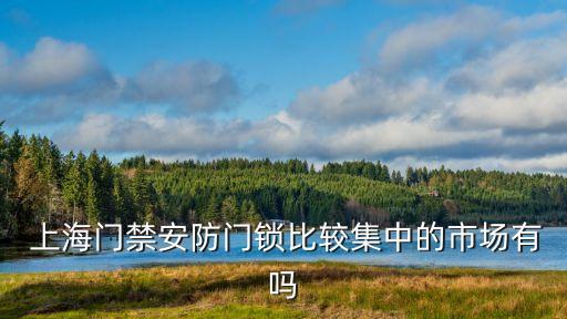  上海門(mén)禁安防門(mén)鎖比較集中的市場(chǎng)有嗎