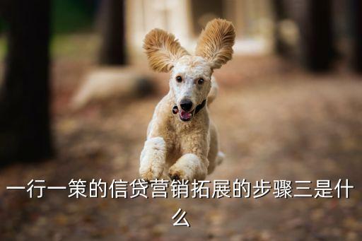 一行一策的信貸營(yíng)銷拓展的步驟三是什么