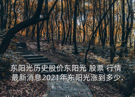 東陽光歷史股價(jià)東陽光 股票 行情 最新消息2021年東陽光漲到多少...