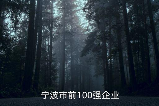  寧波市前100強企業(yè)