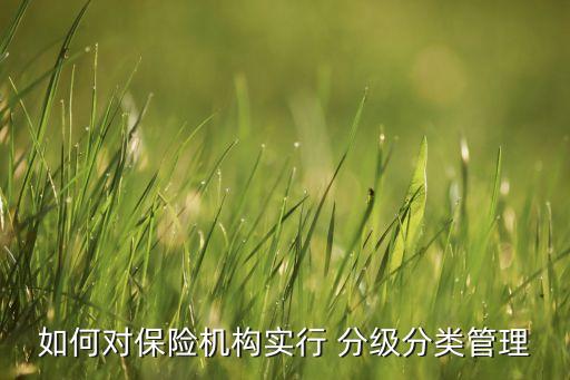 如何對保險(xiǎn)機(jī)構(gòu)實(shí)行 分級(jí)分類管理