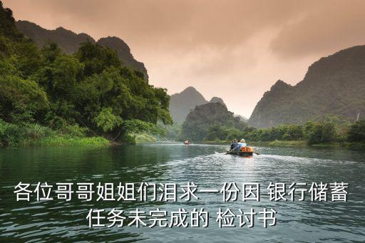 各位哥哥姐姐們淚求一份因 銀行儲蓄任務未完成的 檢討書