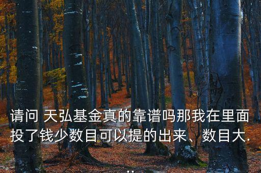 請問 天弘基金真的靠譜嗎那我在里面投了錢少數(shù)目可以提的出來、數(shù)目大...