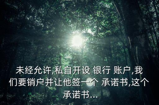 銀行賬戶承諾書(shū),合法開(kāi)立和使用銀行賬戶承諾書(shū)