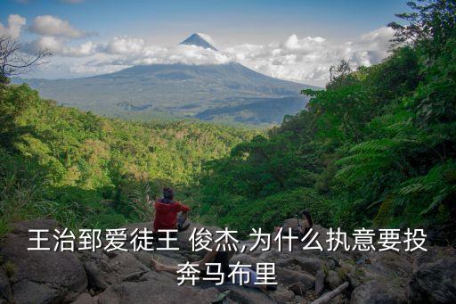 上海民生王俊杰,上?；磩F王俊杰簡介