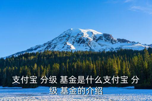 分級(jí)基金a怎么購(gòu)買(mǎi),relts基金怎么購(gòu)買(mǎi)