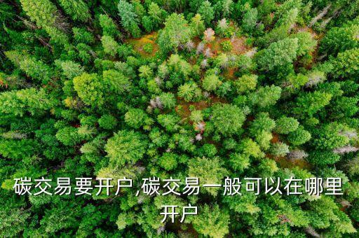 碳交易要開(kāi)戶(hù),碳交易一般可以在哪里開(kāi)戶(hù)