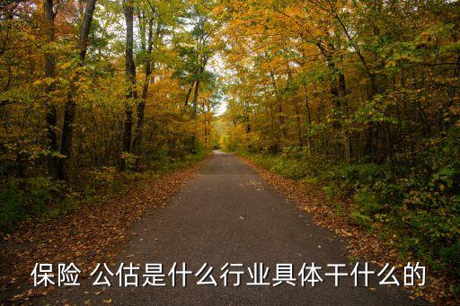 保險(xiǎn)公估公司是什么,汽車(chē)保險(xiǎn)公估人是什么意思