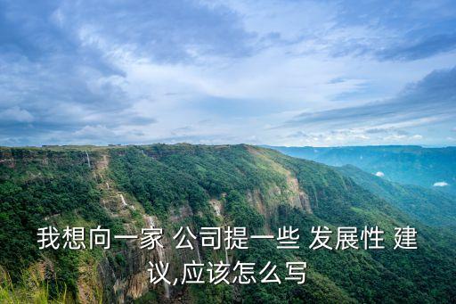 我想向一家 公司提一些 發(fā)展性 建議,應(yīng)該怎么寫