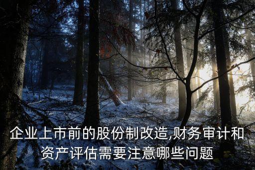 企業(yè)上市前的股份制改造,財務(wù)審計(jì)和資產(chǎn)評估需要注意哪些問題