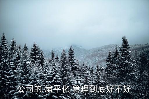 銀行扁平化管理的缺點,銀行網點扁平化管理利弊