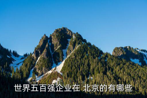 世界五百強企業(yè)在 北京的有哪些