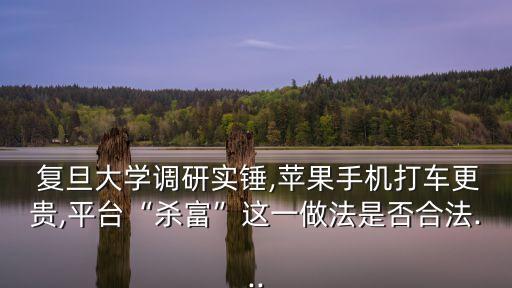  復(fù)旦大學(xué)調(diào)研實(shí)錘,蘋(píng)果手機(jī)打車(chē)更貴,平臺(tái)“殺富”這一做法是否合法...