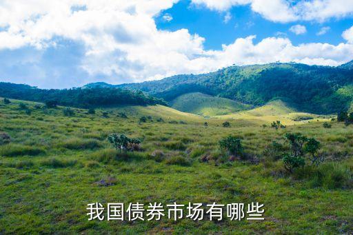 我國(guó)債券市場(chǎng)有哪些