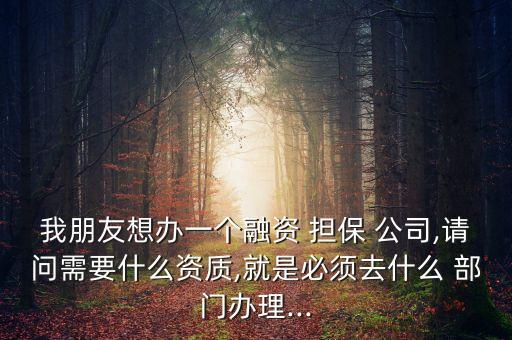 我朋友想辦一個(gè)融資 擔(dān)保 公司,請(qǐng)問需要什么資質(zhì),就是必須去什么 部門辦理...