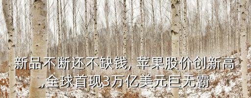 新品不斷還不缺錢(qián), 蘋(píng)果股價(jià)創(chuàng)新高,全球首現(xiàn)3萬(wàn)億美元巨無(wú)霸
