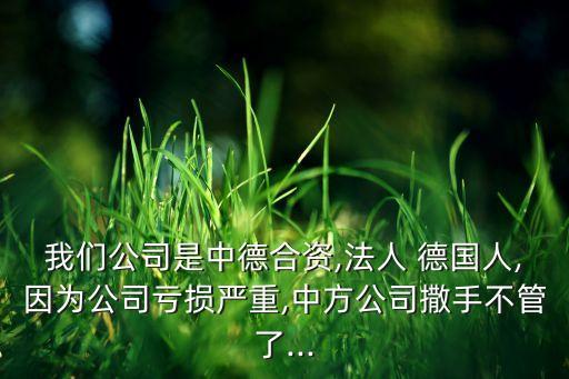 德國(guó)投資失敗,中國(guó)公司在德國(guó)的投資情況