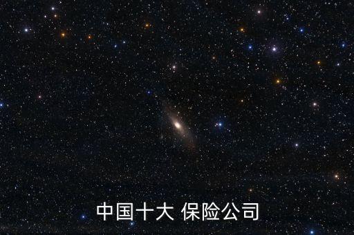 中國十大 保險(xiǎn)公司