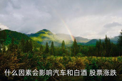 什么因素會(huì)影響汽車和白酒 股票漲跌