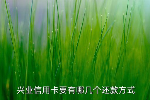  興業(yè)信用卡要有哪幾個還款方式