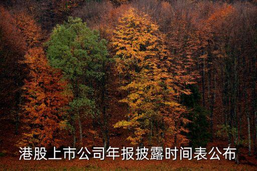 中國移動2015年財務報表