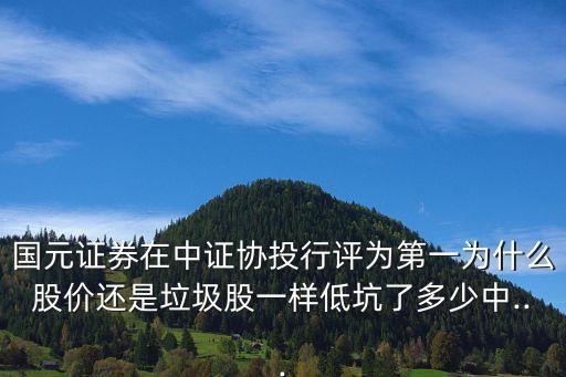 國(guó)元證券在中證協(xié)投行評(píng)為第一為什么股價(jià)還是垃圾股一樣低坑了多少中...