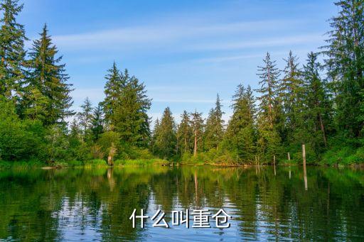 什么是基金重倉股,社?；鹬貍}股一覽
