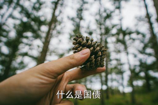 什么是國(guó)債
