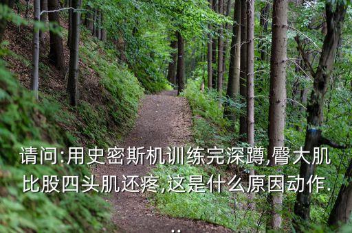 請問:用史密斯機訓(xùn)練完深蹲,臀大肌比股四頭肌還疼,這是什么原因動作...