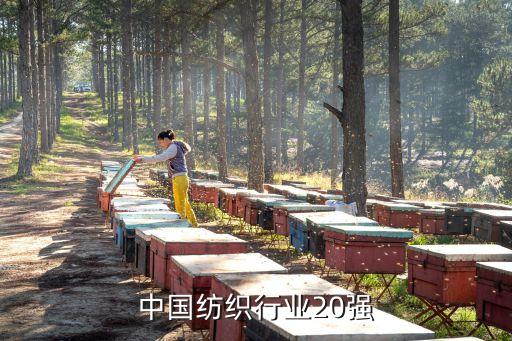 中國紡織行業(yè)20強(qiáng)