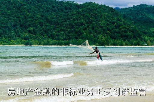 房地產金融的非標業(yè)務正受到誰監(jiān)管