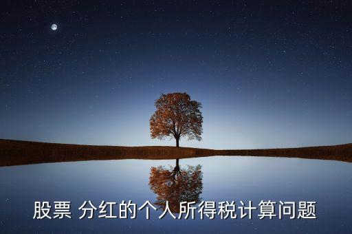 股票 分紅的個(gè)人所得稅計(jì)算問題