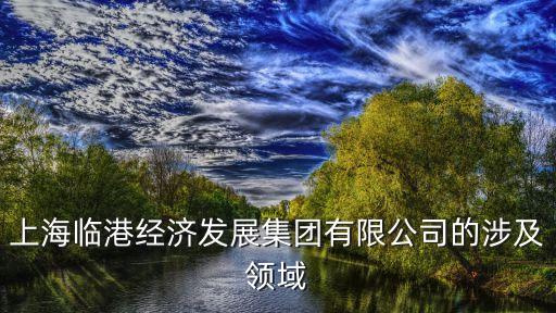 上海臨港經(jīng)濟發(fā)展集團有限公司的涉及領域