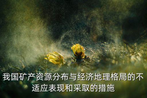 我國礦產(chǎn)資源分布與經(jīng)濟地理格局的不適應(yīng)表現(xiàn)和采取的措施