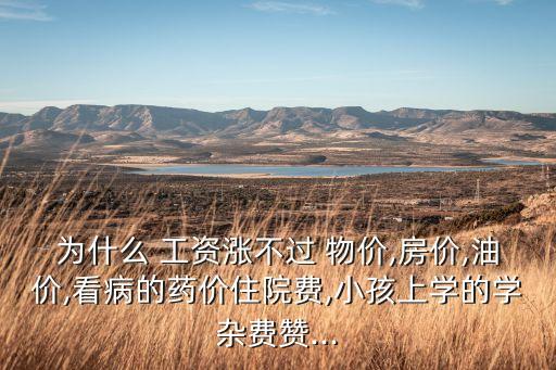 為什么 工資漲不過 物價,房價,油價,看病的藥價住院費,小孩上學的學雜費贊...