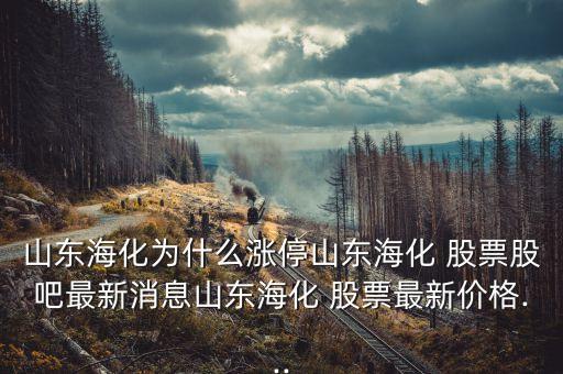豐海科技股票股價