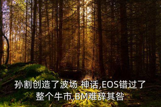 孫割創(chuàng)造了波場(chǎng) 神話,EOS錯(cuò)過(guò)了整個(gè)牛市,BM難辭其咎